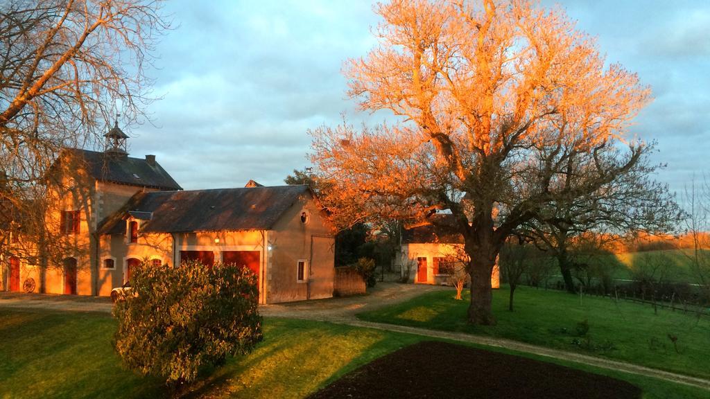 B&B Château de Preuil Vallenay Exterior foto